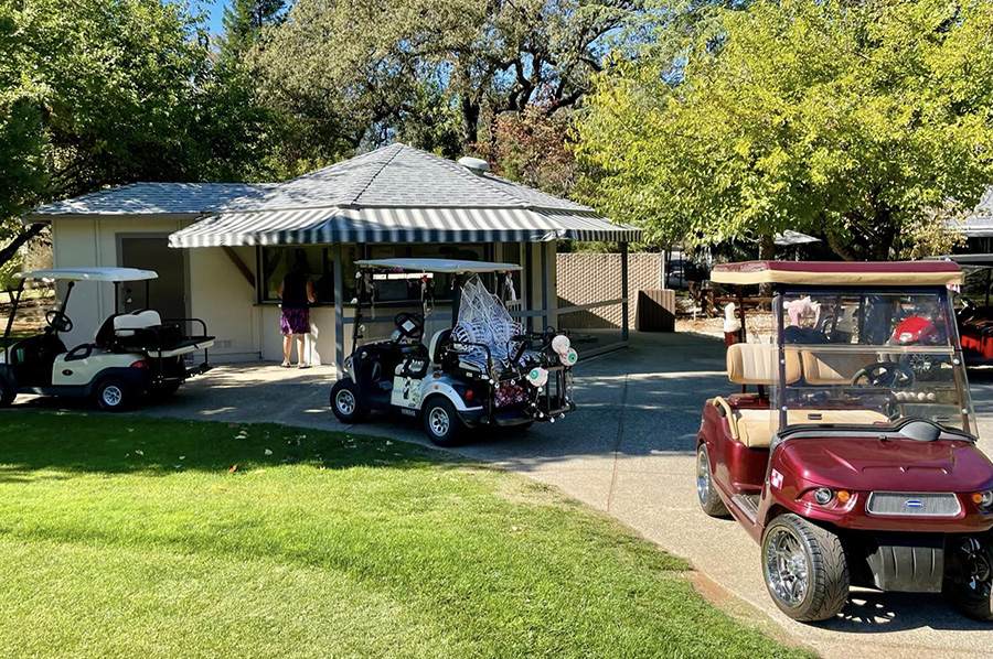 Snack Shack with golf carts